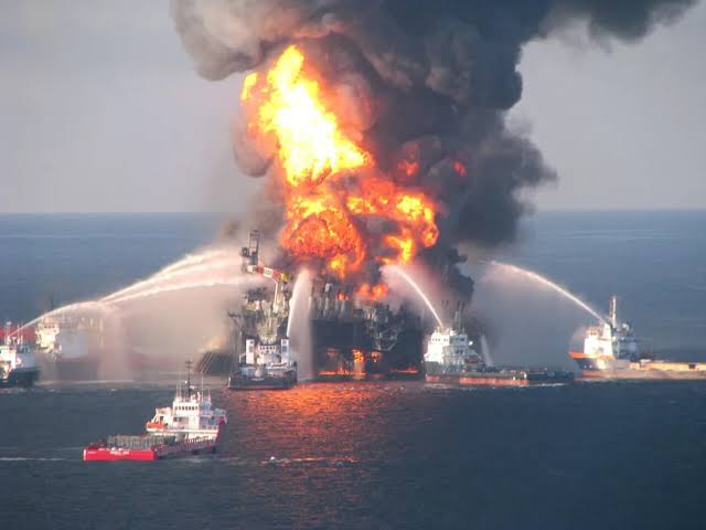 Deepwater Horizon Oil Spill Continues to Harm Gulf of Mexico Marine Life, Study Finds