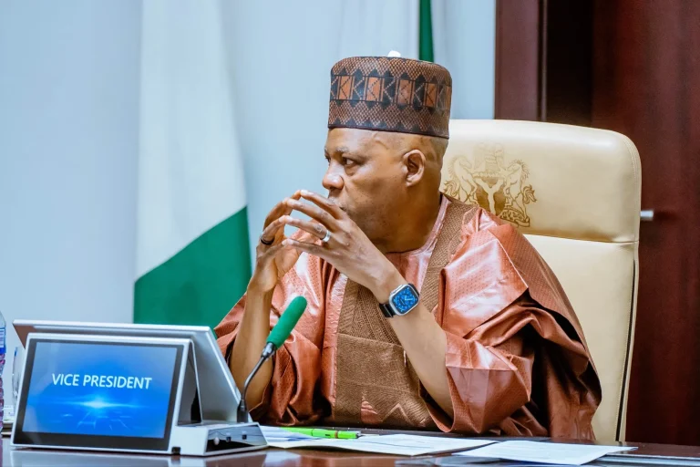 Shettima Presides Over National Economic Council Meeting in Abuja